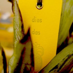 Dies Das Ananas