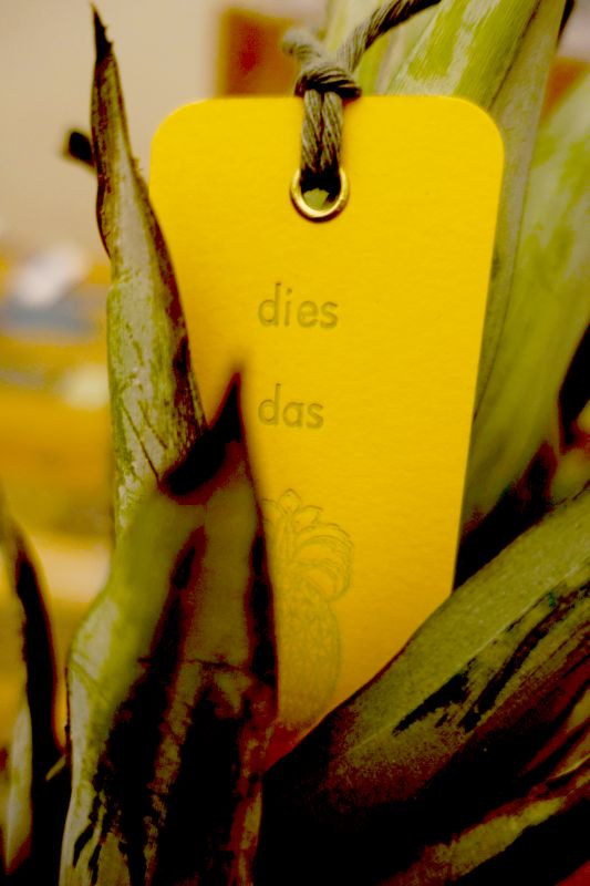 Dies Das Ananas