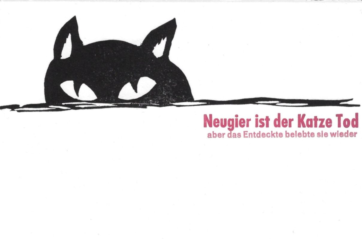 Falterpost: Neugier ist der Katze Tod – Bild 3